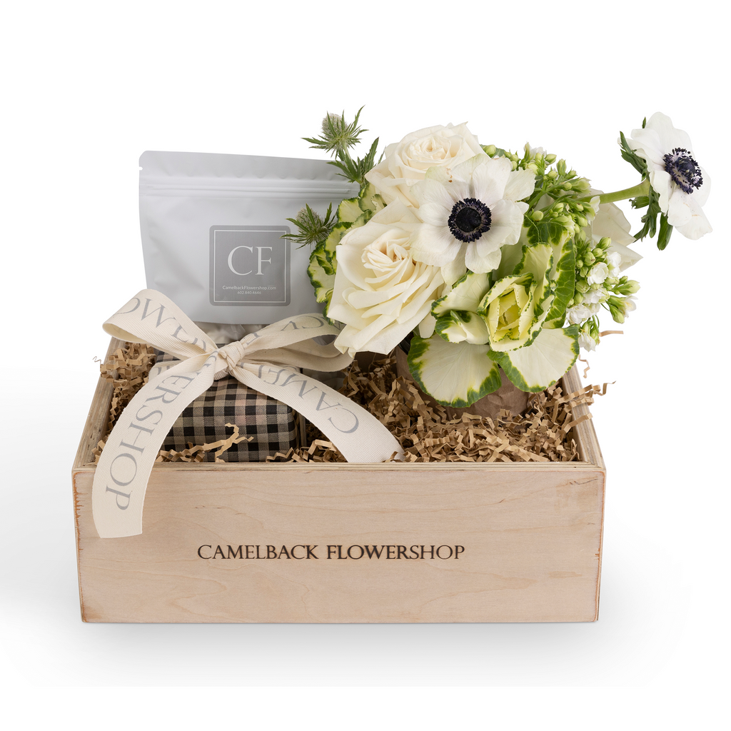 CF Signature Box (Regular) Camelback