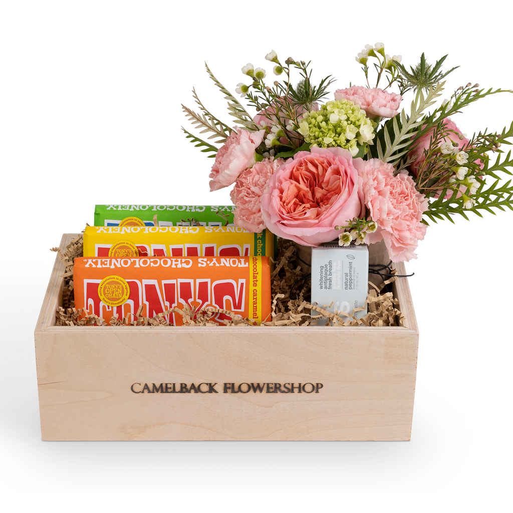 Sweet Tooth Box Camelback