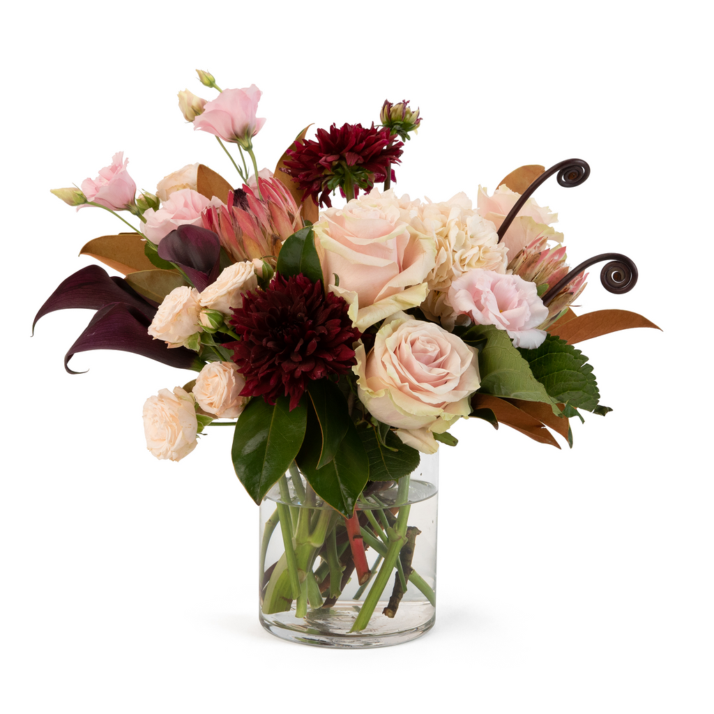 The Monroe Camelback