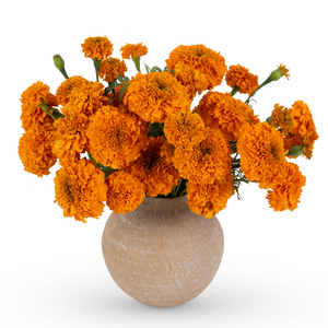 Marigold Moon Jar