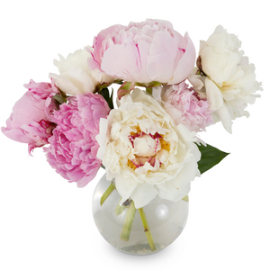Chubby Bud Vase