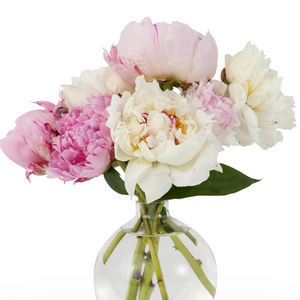 Chubby Bud Vase