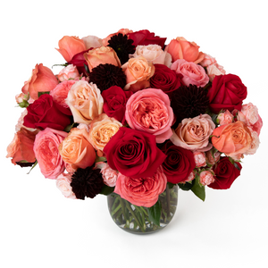 Romantic Super Bloom - All Roses